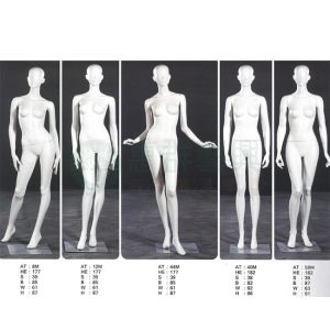 女模特兒(有頭)-AT8.12.44.40.58M