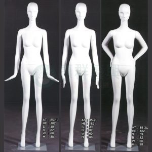 女模特兒(有頭)-AT85-1-3L