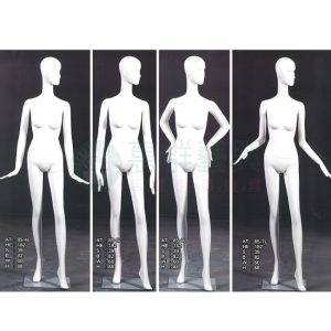 女模特兒(有頭)-AT85