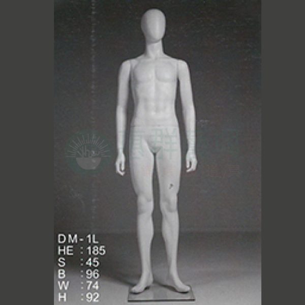 DM-1L
