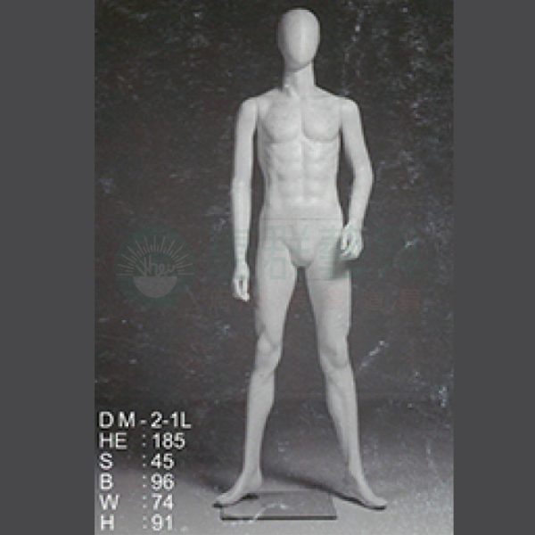 DM-2-1L