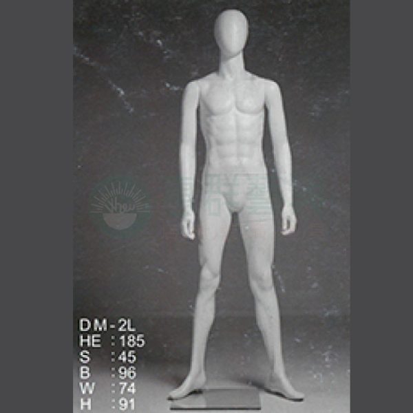 DM-2L