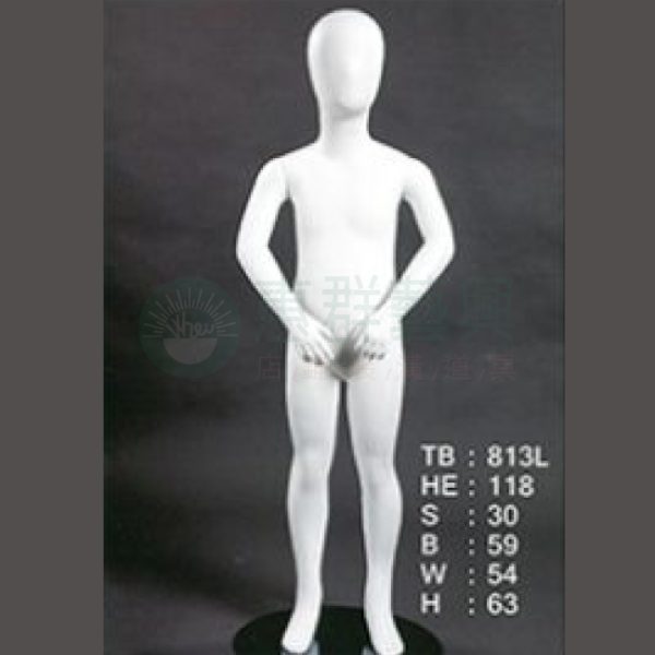 TB813L