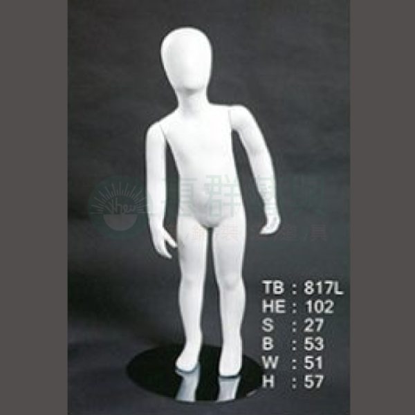 TB817L
