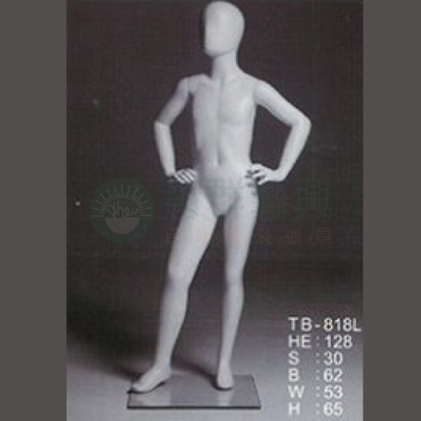 TB818L