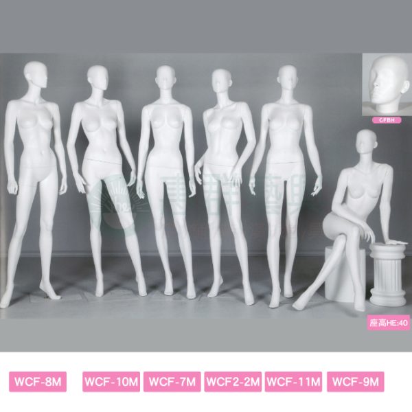 G010-(WCF-8M.WCF-10M.WCF-7M.WCF2-2M.WCF-11M.WCF-9M)