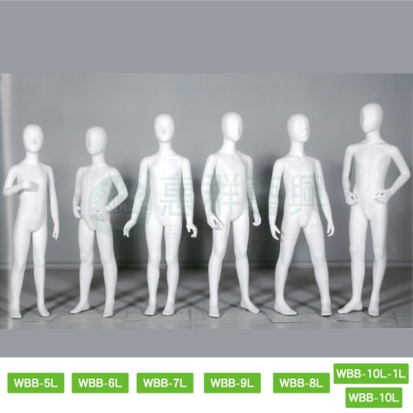 WS-31(WBB-5L.WBB-6L.WBB-7L.WBB-9L.WBB-8L.WBB-10-1L.WBB10L)