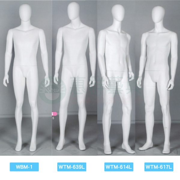 WS-G20(WBM-1.WTM-639L.WTM-614L.WTM-617L)