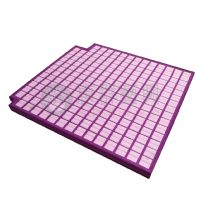 紫色調全戒指飾品盤ws-04