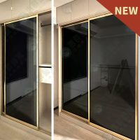 WS地軌式鋁框拉門WSP355-04
