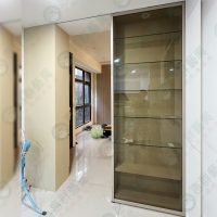 ws懸吊式鋁框拉門WSP449-02